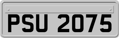 PSU2075