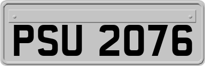 PSU2076
