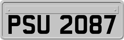 PSU2087