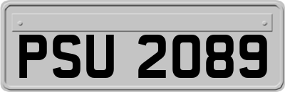 PSU2089