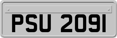 PSU2091
