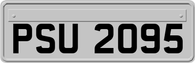 PSU2095