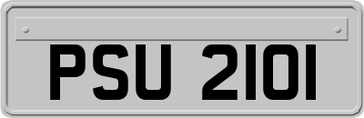 PSU2101