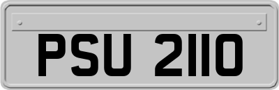 PSU2110