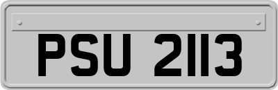 PSU2113