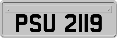 PSU2119