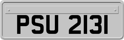 PSU2131