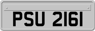 PSU2161