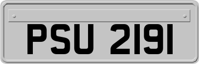 PSU2191
