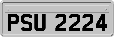 PSU2224