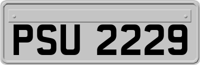 PSU2229