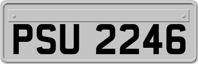 PSU2246