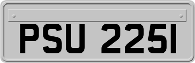 PSU2251