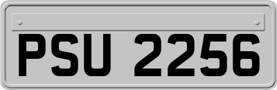 PSU2256