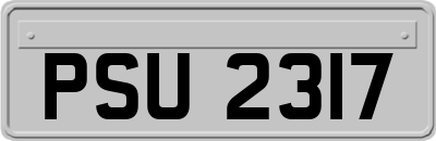 PSU2317
