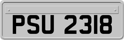 PSU2318
