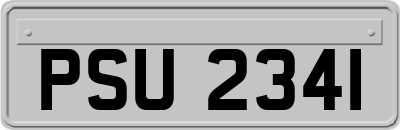 PSU2341