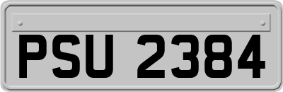 PSU2384