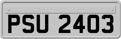 PSU2403