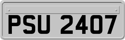 PSU2407