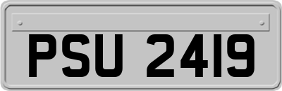 PSU2419