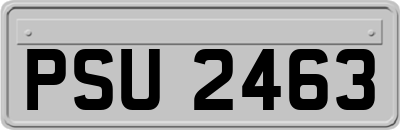 PSU2463