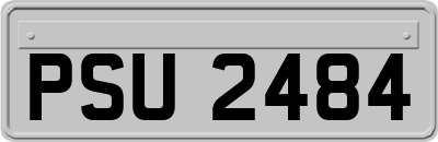 PSU2484