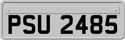 PSU2485