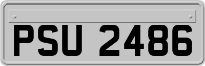 PSU2486