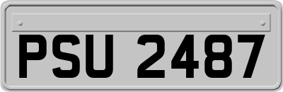 PSU2487