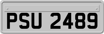 PSU2489