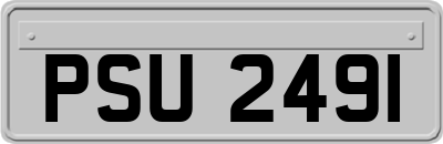 PSU2491