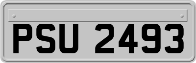 PSU2493