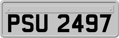 PSU2497