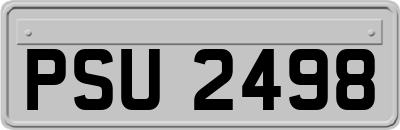 PSU2498