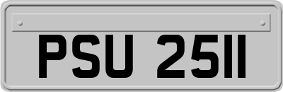 PSU2511
