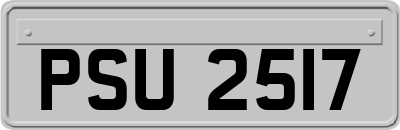 PSU2517