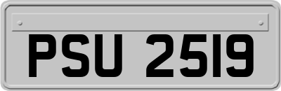 PSU2519
