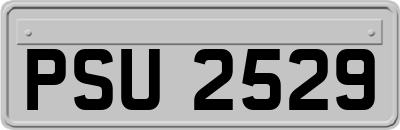 PSU2529