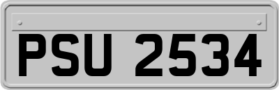 PSU2534