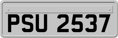 PSU2537