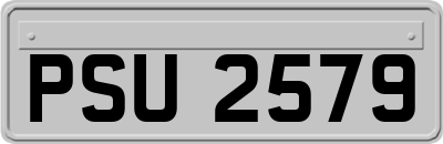PSU2579
