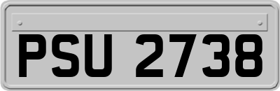 PSU2738