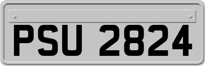 PSU2824