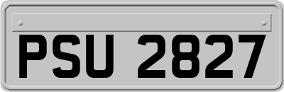 PSU2827