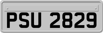 PSU2829