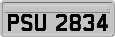 PSU2834