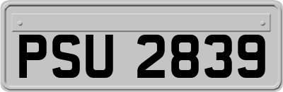 PSU2839