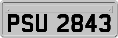 PSU2843