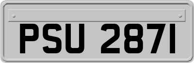 PSU2871